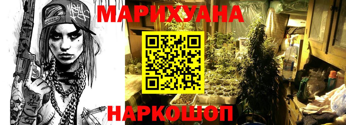 Каннабис планчик Камышлов